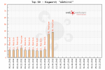 SEO-Tool Südtirol
